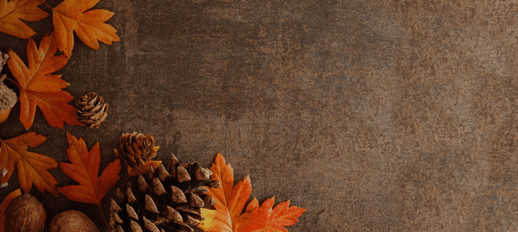 3.90% APY* 4-month Promotional CD - Fall in love with your savings